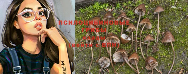 каннабис Зеленокумск