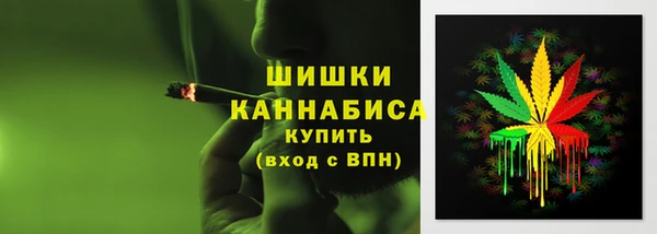 PSILOCYBIN Зерноград