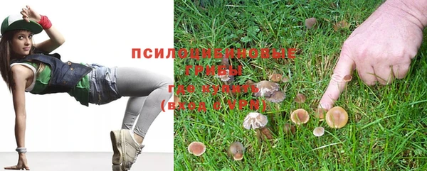 PSILOCYBIN Зерноград