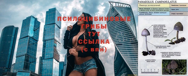 каннабис Зеленокумск
