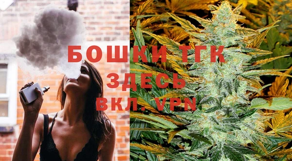 PSILOCYBIN Зерноград