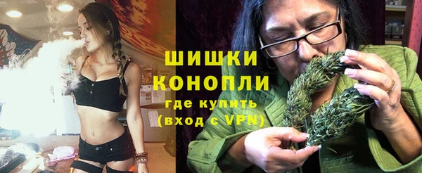 PSILOCYBIN Зерноград